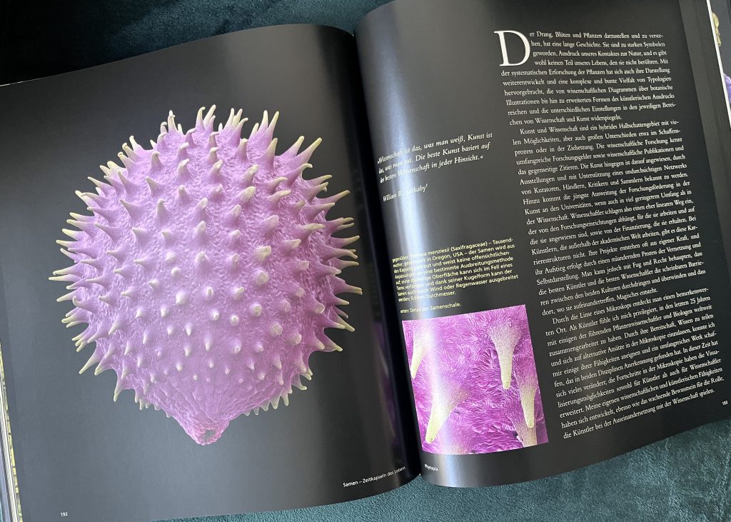 Blick in das Buch "Samen".
